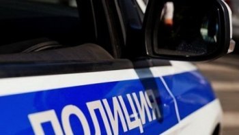 В Даровском полицейские обнаружили посадки мака